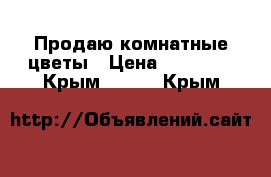 Продаю комнатные цветы › Цена ­ 50-120 - Крым  »    . Крым